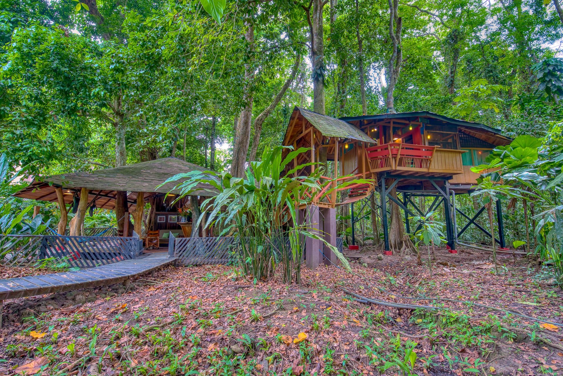Wide exterior view of the Tree House on stilts beside its ground-level rancho, in the rainforest at midday